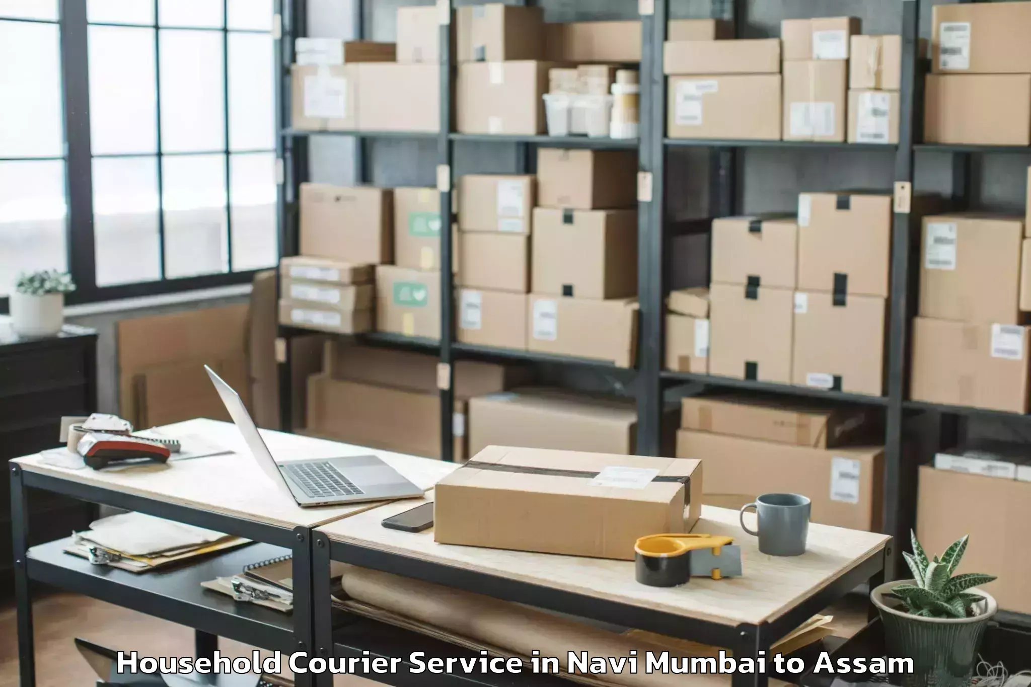 Professional Navi Mumbai to Dhing Household Courier